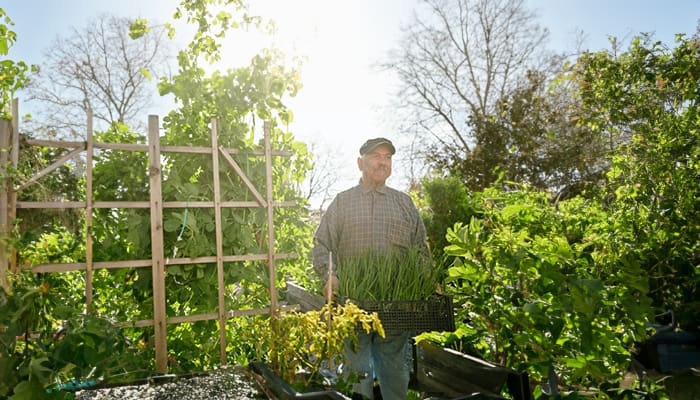 Senior resident enjoying the community garden