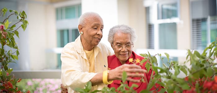 Two women walking outdoors and observing the beauty of nature